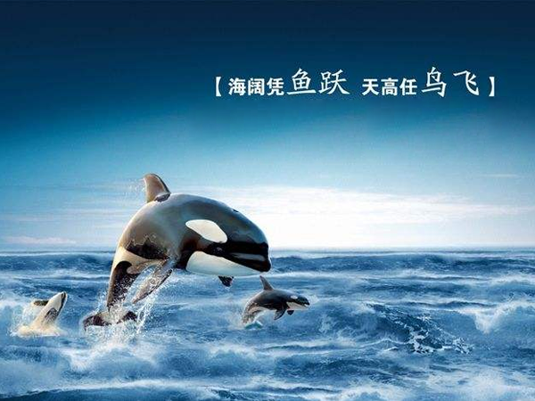 ��ҵ����